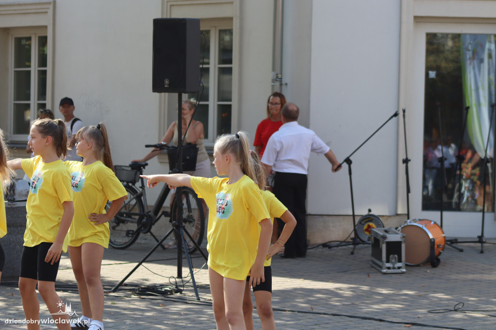 Piknik w Śródmieściu