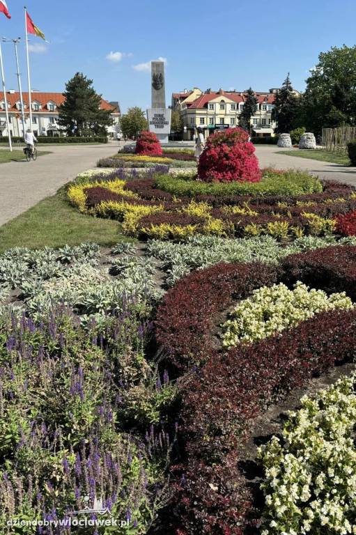 Potańcówka nad Zgłowiączką