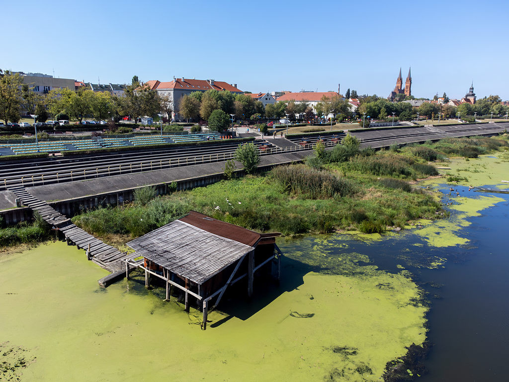 Włocławek półżartem, półserio AI