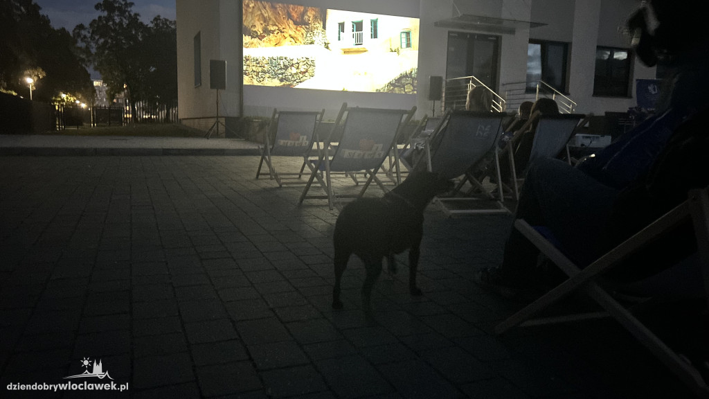 Uczelniane kino plenerowe