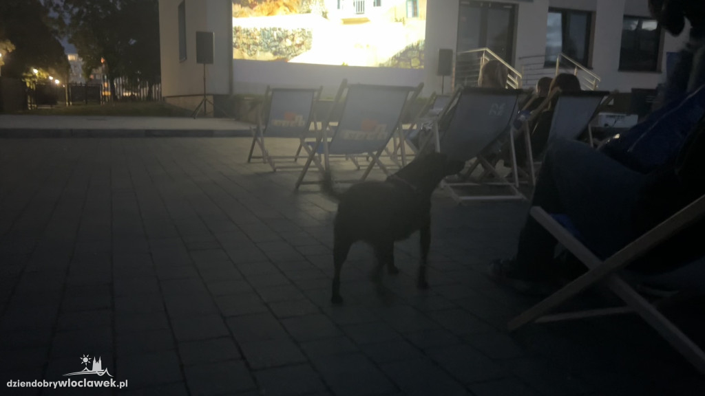 Uczelniane kino plenerowe