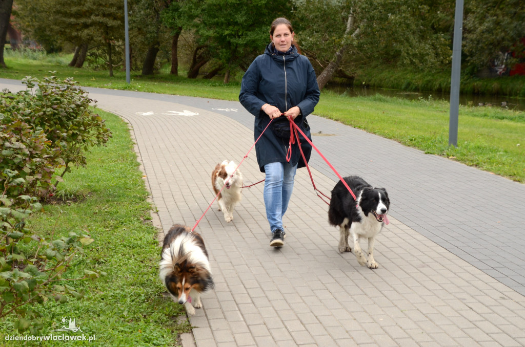 Parkrun - 5 października 2024 r.