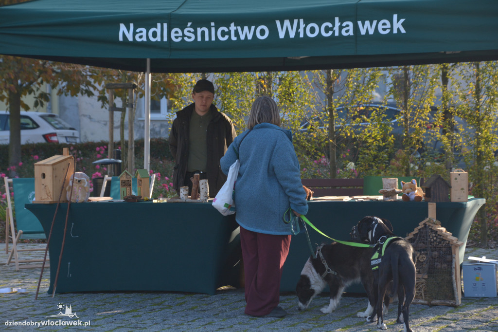 Rajd pieszy. Przeżyj jesień we Włocławku z TrekTours!