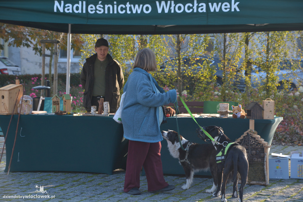 Rajd pieszy. Przeżyj jesień we Włocławku z TrekTours!
