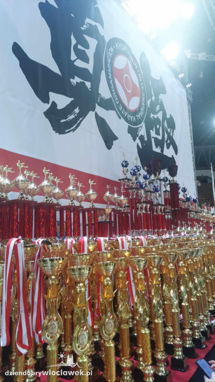 Kyokushin IKO World Cup - kadra z Włocławka