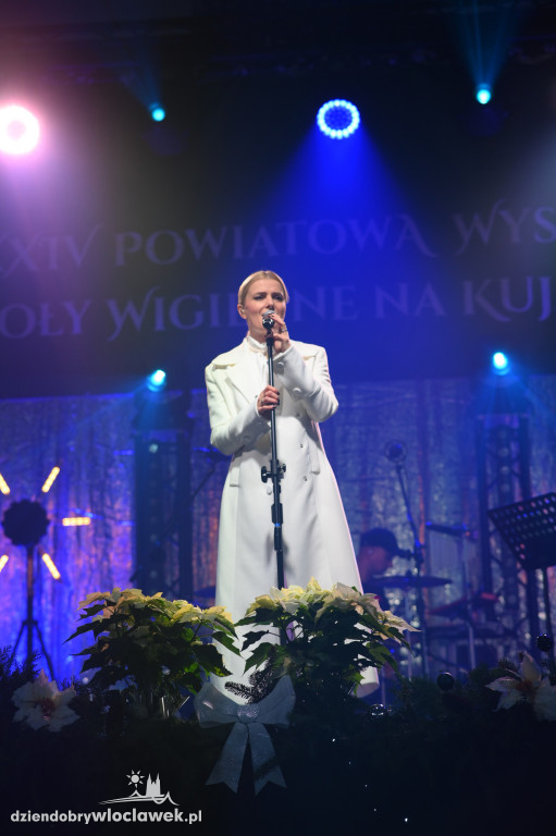 Koncert Haliny Mlynkovej w Chodczu