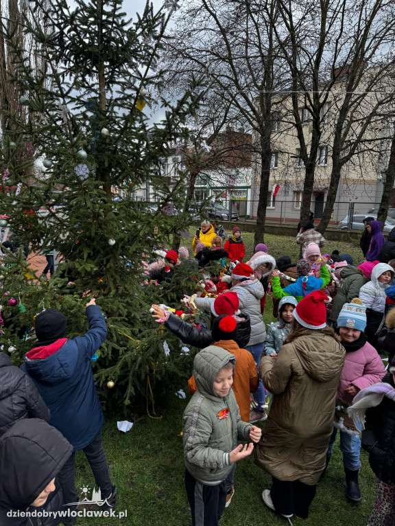 Wspólne ubieranie Śródmiejskiej Choinki