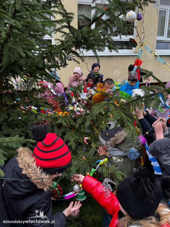 Wspólne ubieranie Śródmiejskiej Choinki