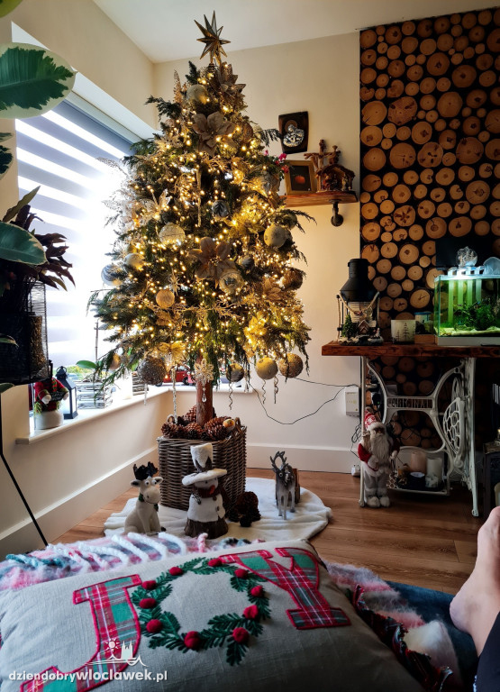 Choinki naszych Czytelników