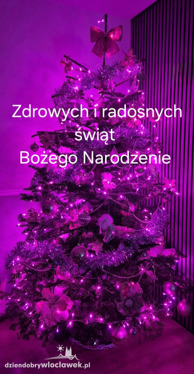 Choinki naszych Czytelników
