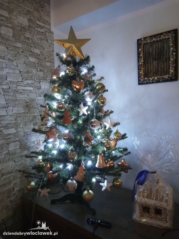 Choinki naszych Czytelników