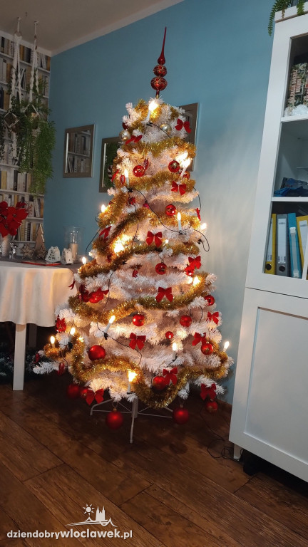 Choinki naszych Czytelników