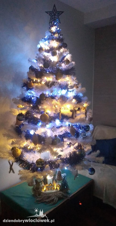 Choinki naszych Czytelników