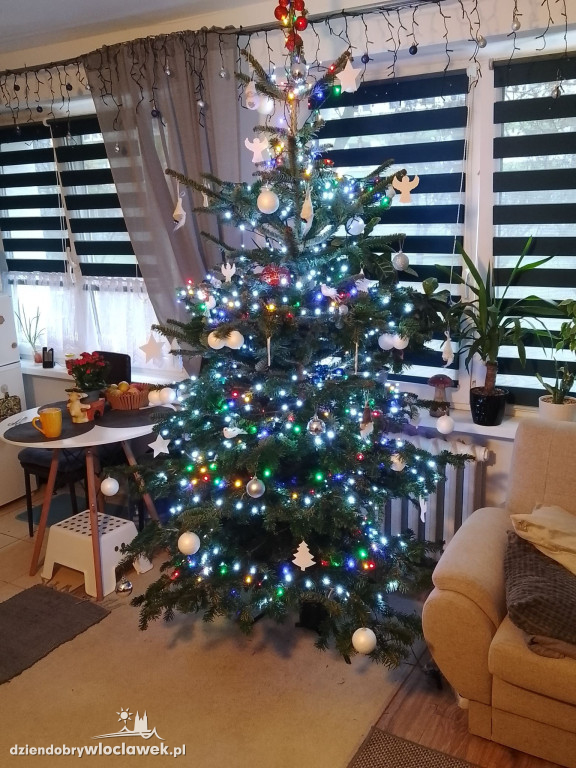 Choinki naszych Czytelników