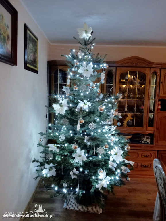 Choinki naszych Czytelników