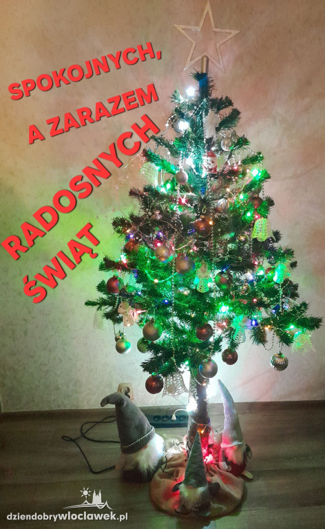 Choinki naszych Czytelników
