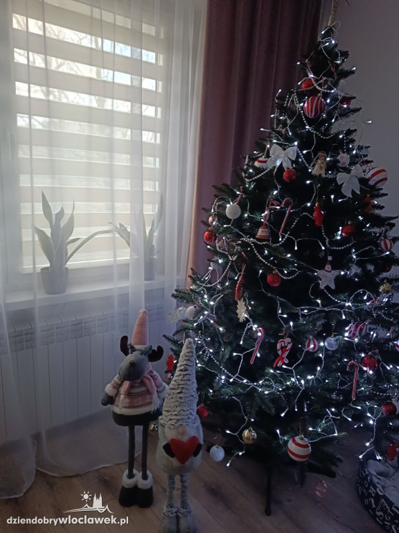 Choinki naszych Czytelników