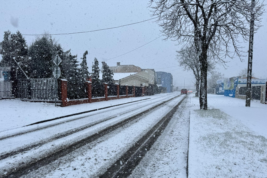 Pierwszy prawdziwy śnieg tej zimy