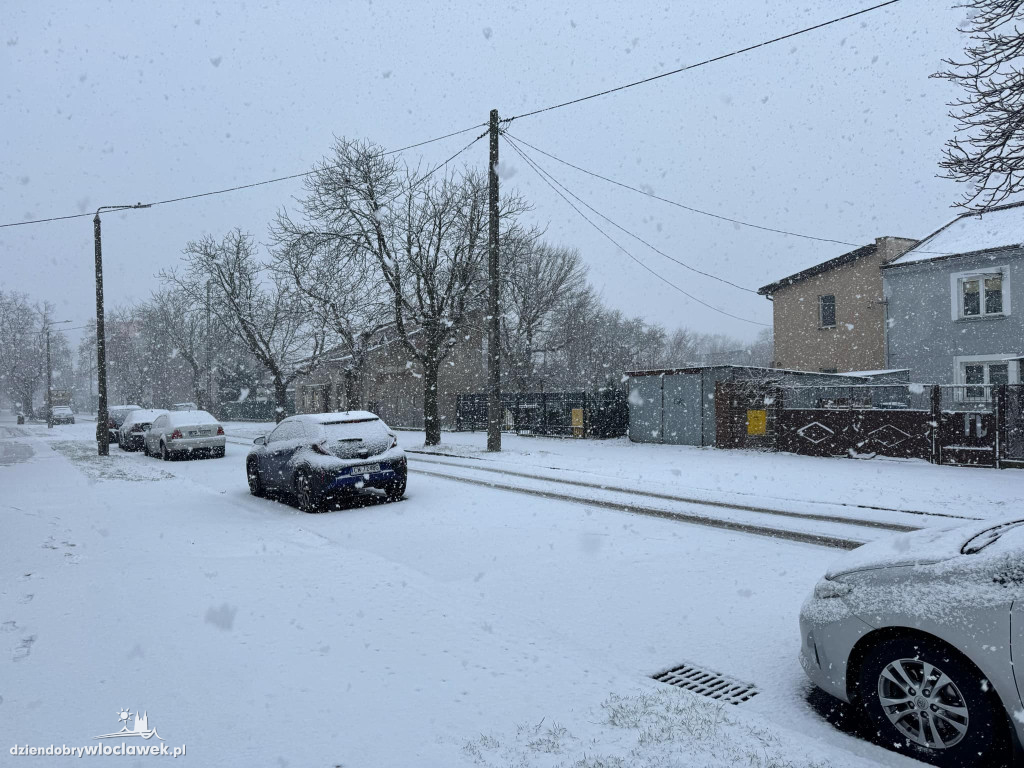 Pierwszy prawdziwy śnieg tej zimy