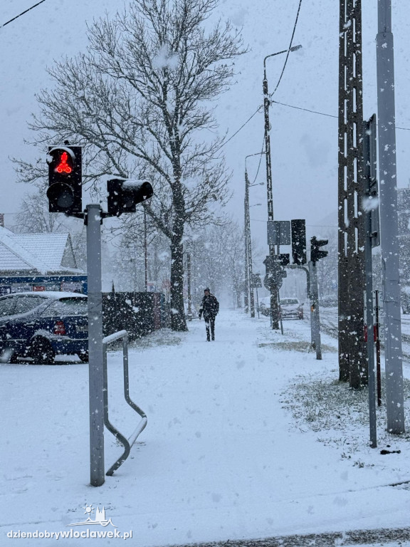 Pierwszy prawdziwy śnieg tej zimy