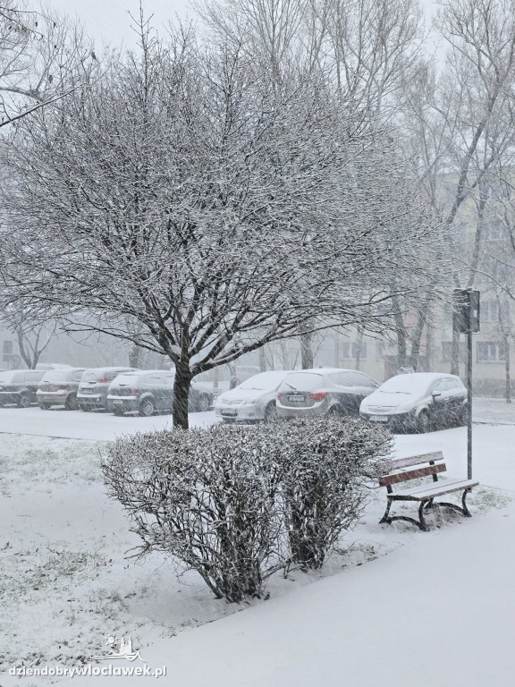Pierwszy prawdziwy śnieg tej zimy