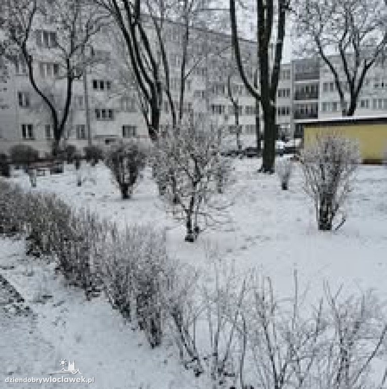Pierwszy prawdziwy śnieg tej zimy