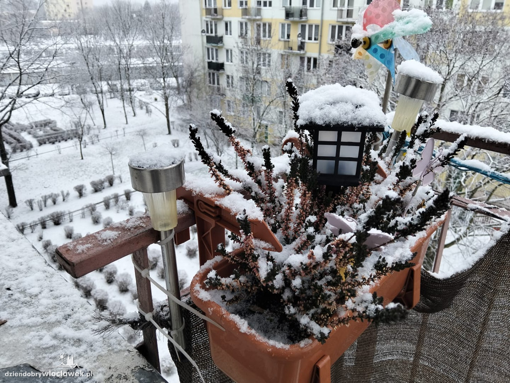 Pierwszy prawdziwy śnieg tej zimy