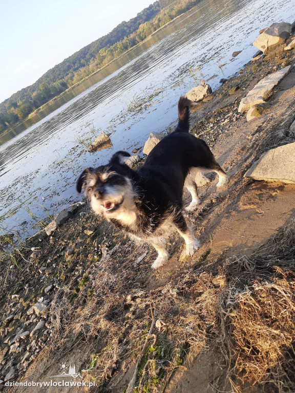 Projekt: Pokaż swojego Pupila. Modelka: Nela