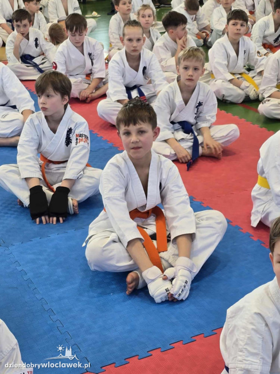 Zawody Karate Kyokushin w Piasecznie