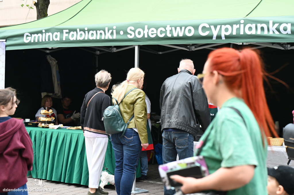 Festiwal 3 Maja