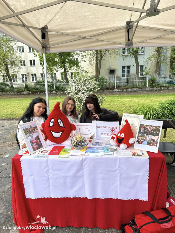 Zawodowy Piknik z Ekonomikiem
