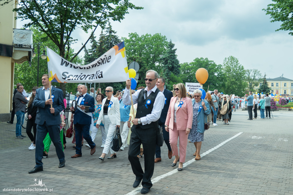 Senioralia 2025 we Włocławku