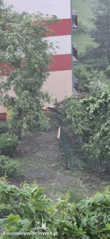 Skutki burzy we Włocławku