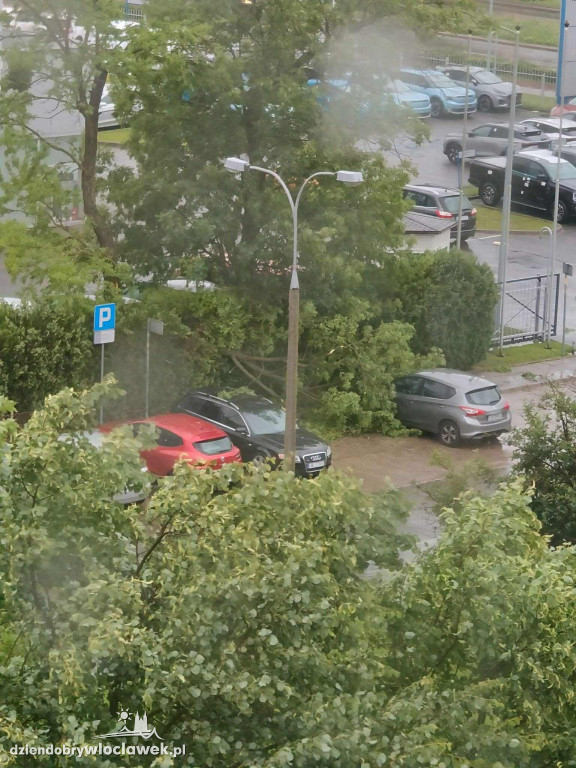 Skutki burzy we Włocławku