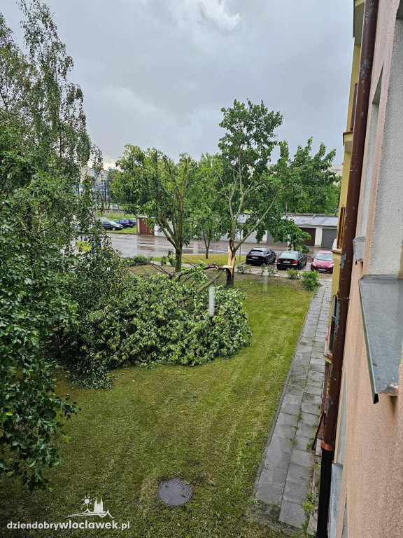 Skutki burzy we Włocławku