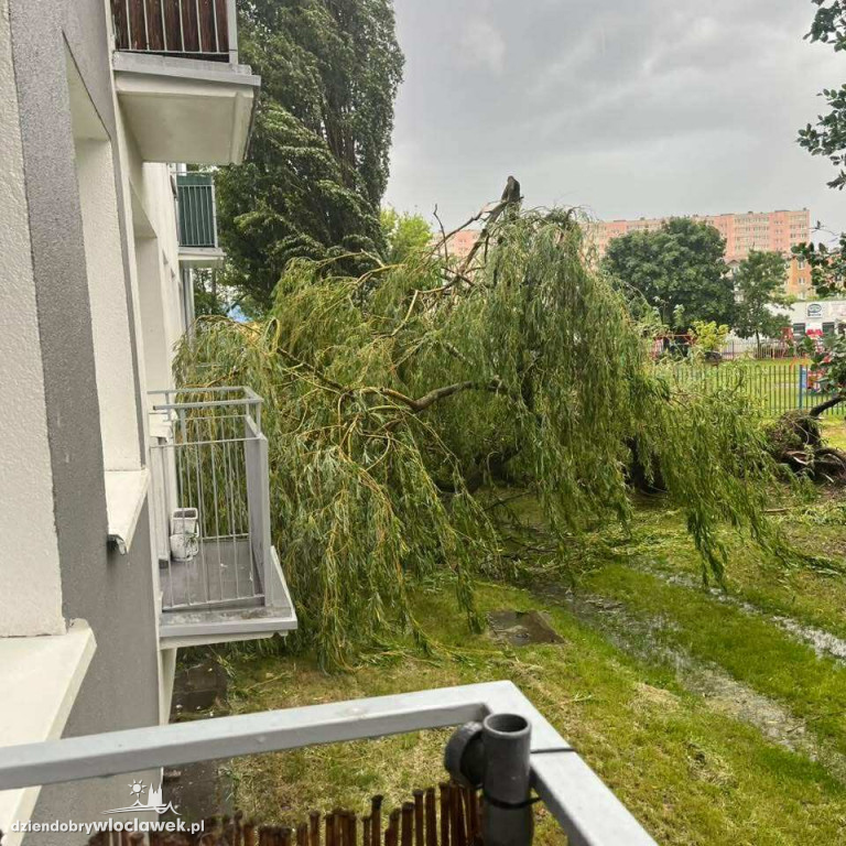 Skutki burzy we Włocławku