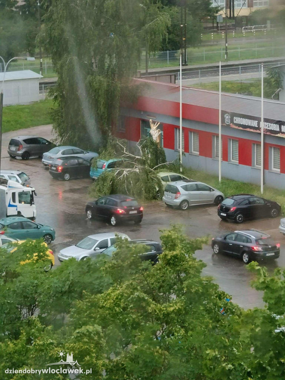 Skutki burzy we Włocławku