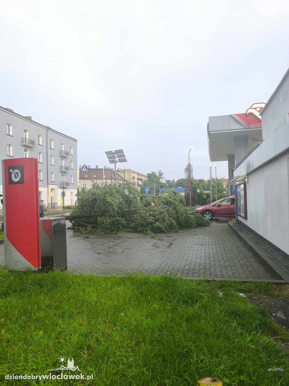 Skutki burzy we Włocławku
