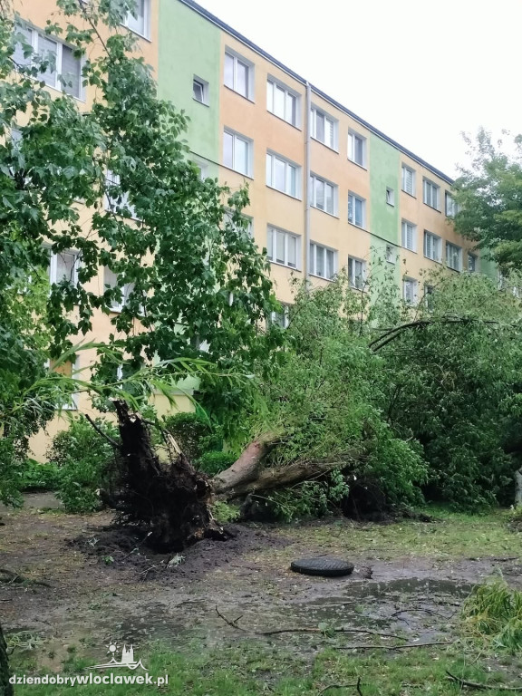 Skutki burzy we Włocławku