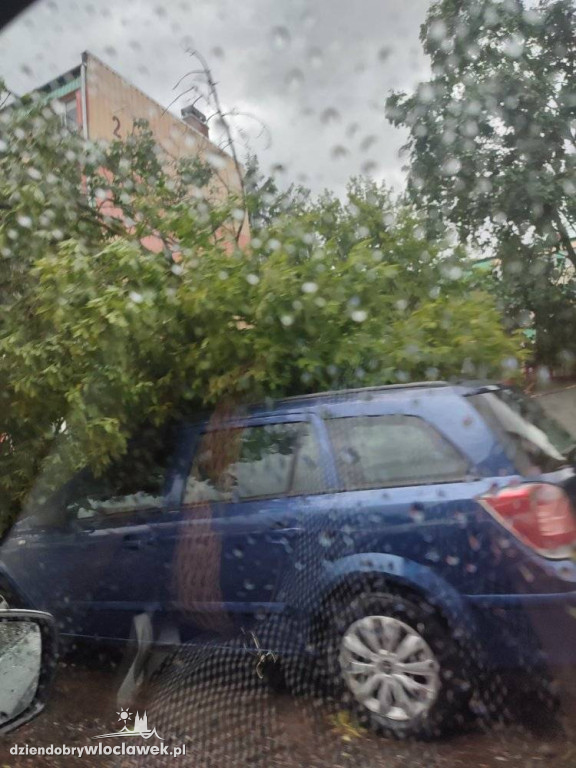 Skutki burzy we Włocławku