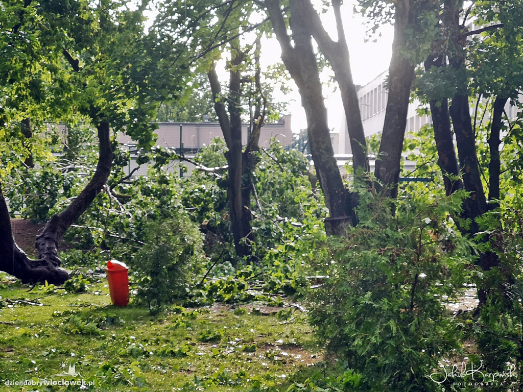 Zazamcze w strzępach. Nawałnica wyrywała drzewa