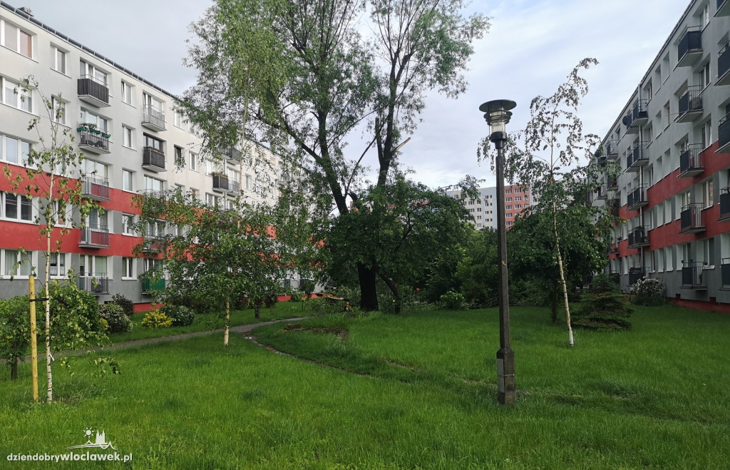 Zazamcze w strzępach. Nawałnica wyrywała drzewa