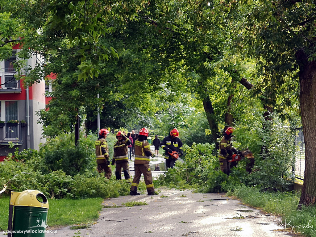Zazamcze w strzępach. Nawałnica wyrywała drzewa