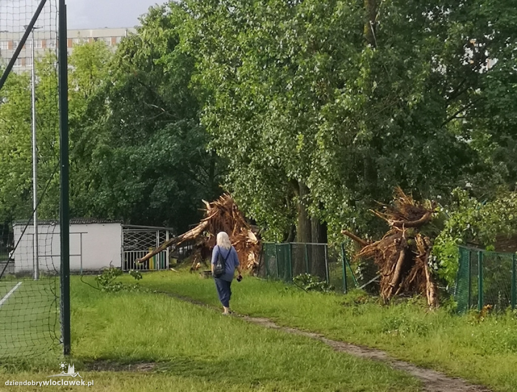Zazamcze w strzępach. Nawałnica wyrywała drzewa