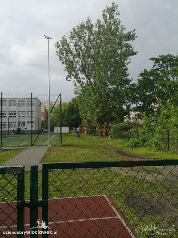 Zazamcze w strzępach. Nawałnica wyrywała drzewa