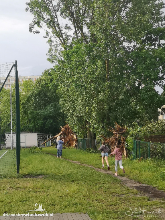 Zazamcze w strzępach. Nawałnica wyrywała drzewa