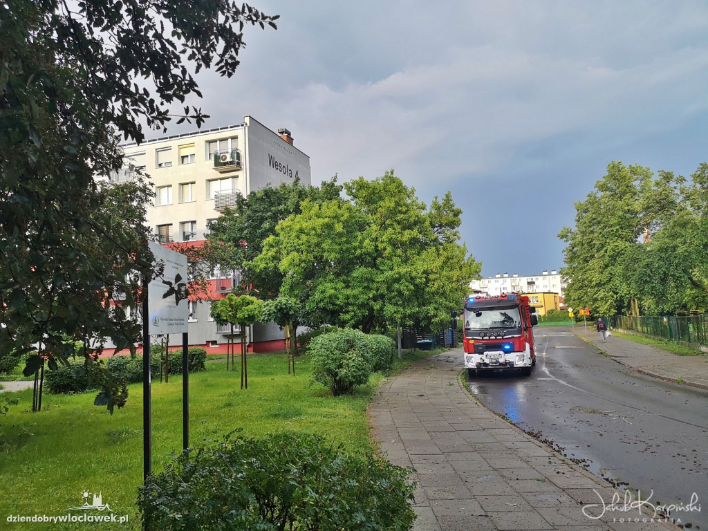 Zazamcze w strzępach. Nawałnica wyrywała drzewa
