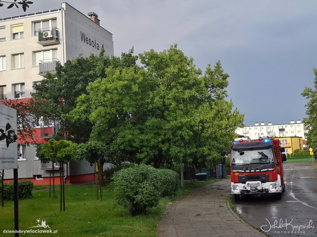 Zazamcze w strzępach. Nawałnica wyrywała drzewa