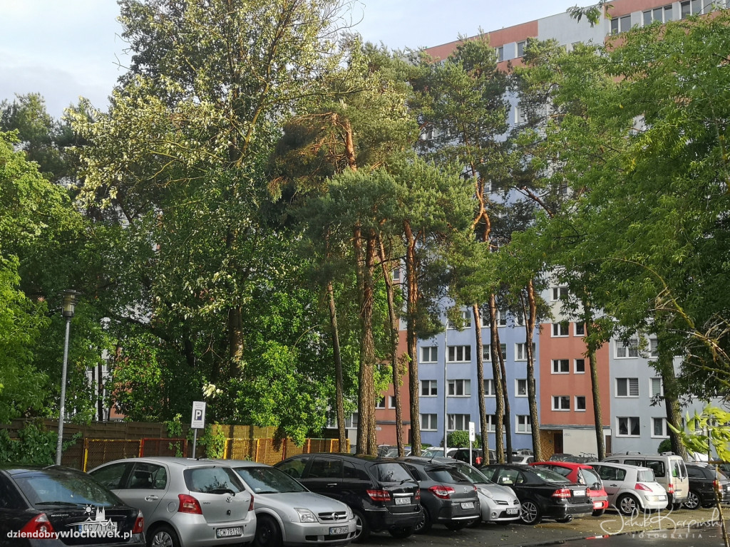 Zazamcze w strzępach. Nawałnica wyrywała drzewa