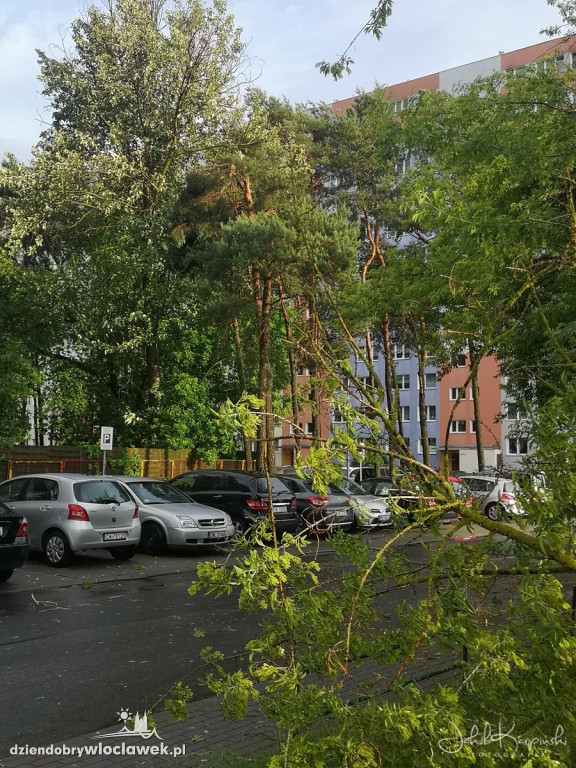 Zazamcze w strzępach. Nawałnica wyrywała drzewa